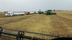 Schemper Harvesting 2018
