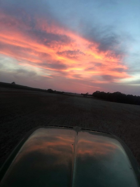 Photo Credit: Jon D.