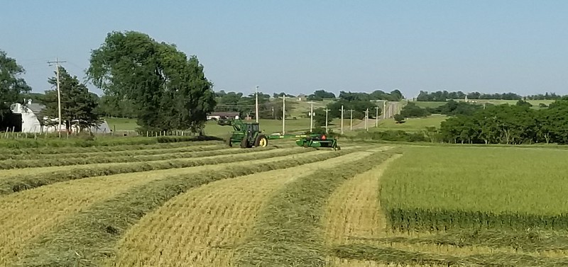 Photo Credit: Lindsey Orgain