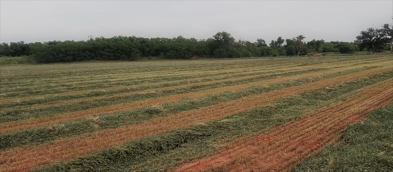 Photo Credit: Lindsey Orgain