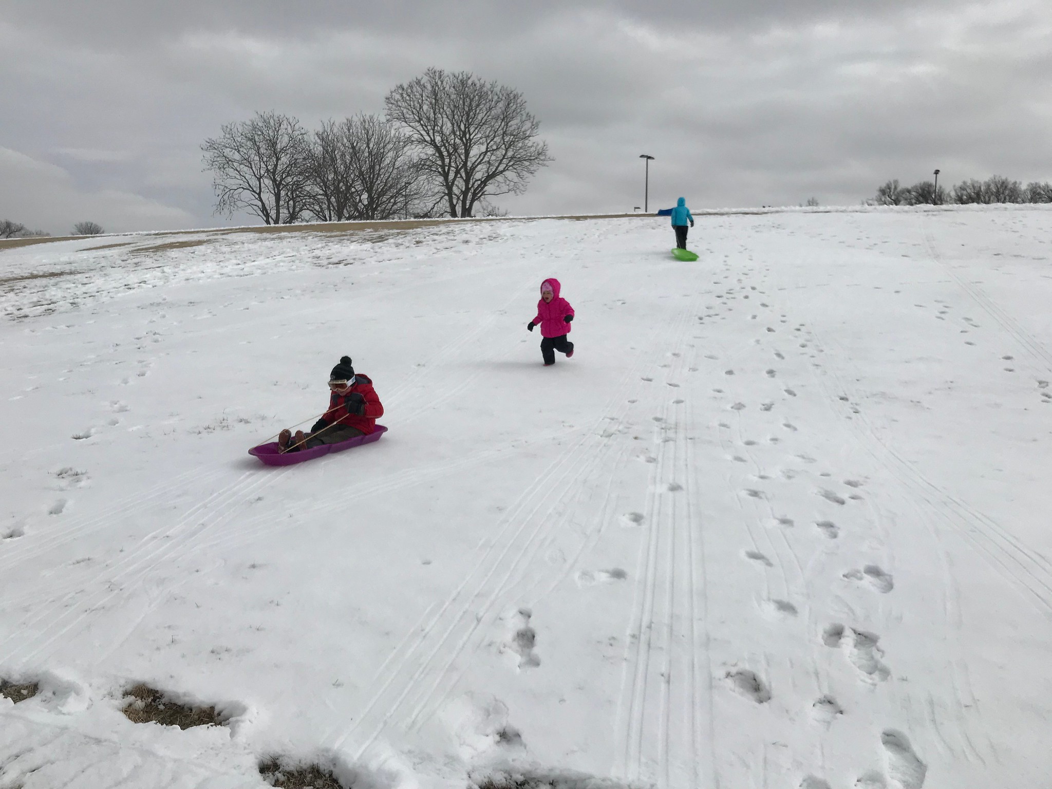 Photo credit - Laura Haffner - High Plains Harvesting