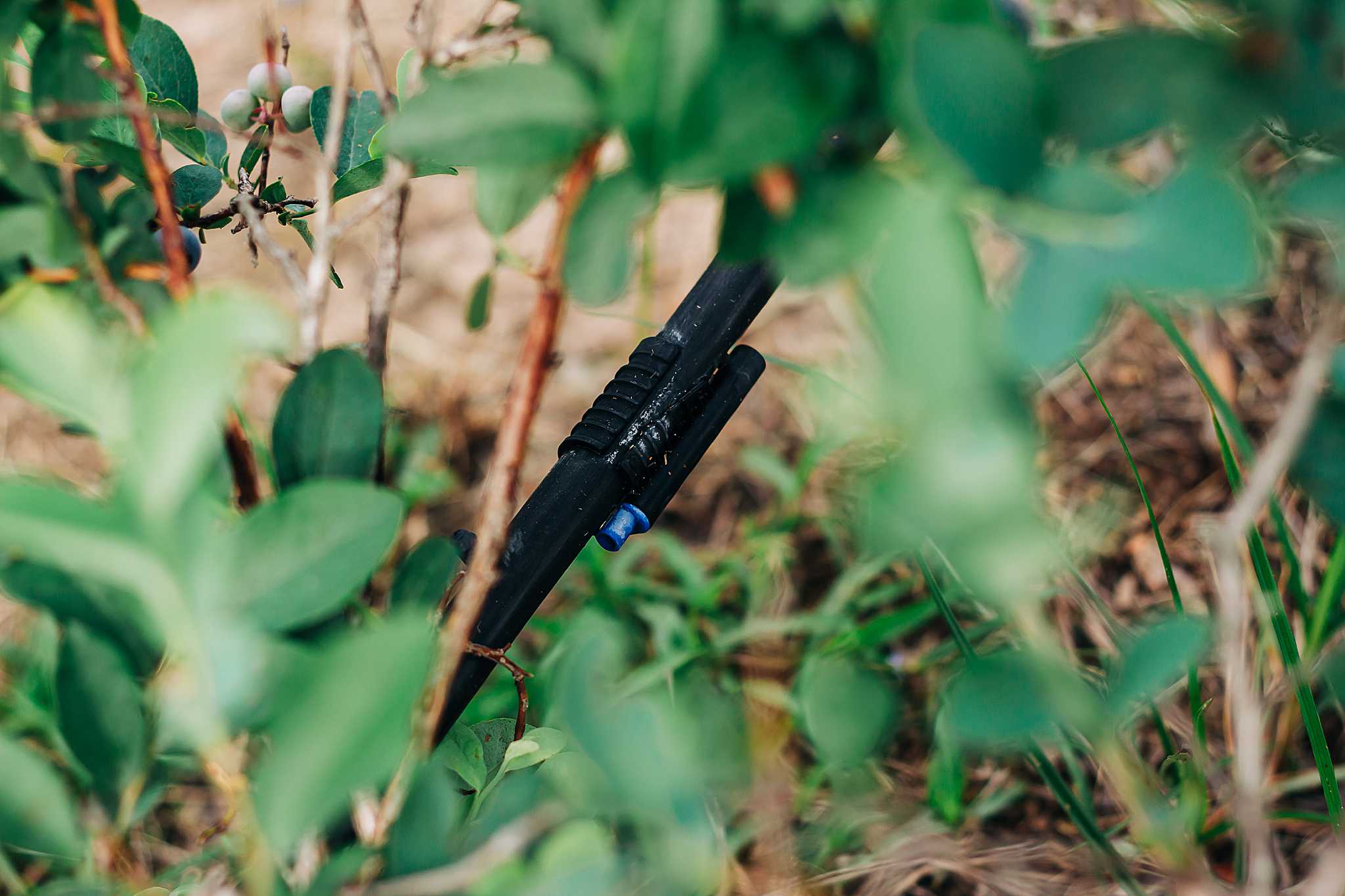 High Plains Harvesting 2019 - Photo by Laura