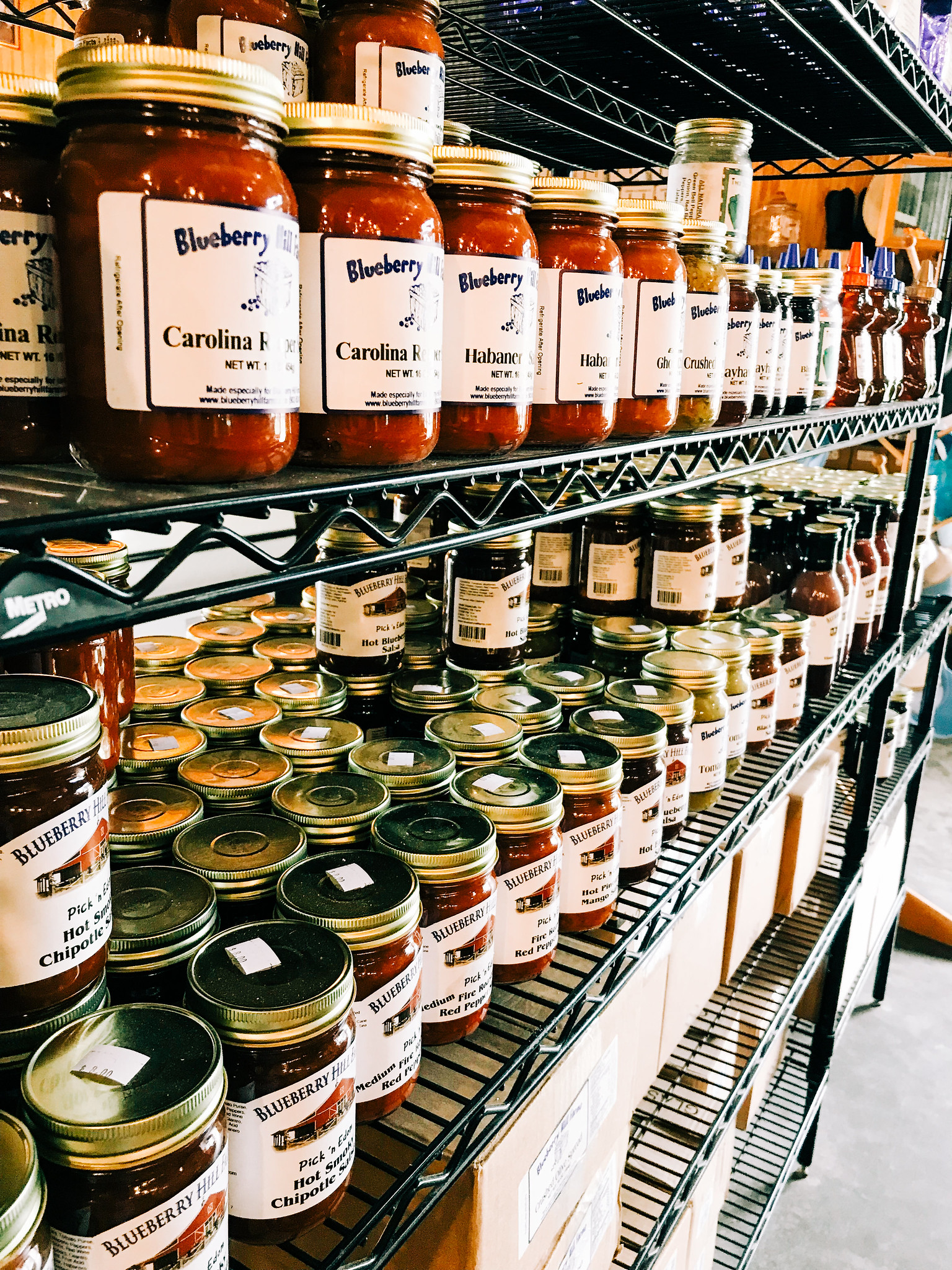 High Plains Harvesting 2019 - Photo by Laura