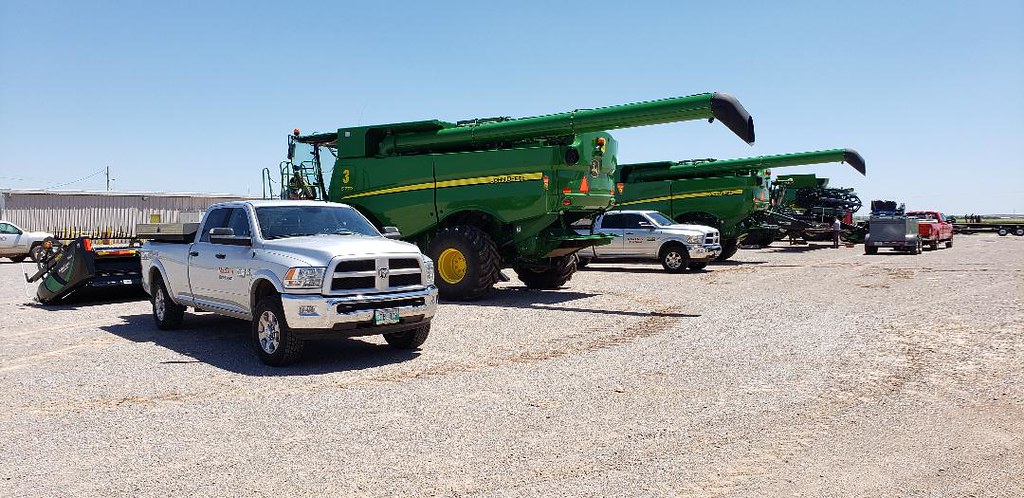 Schemper Harvesting 2019