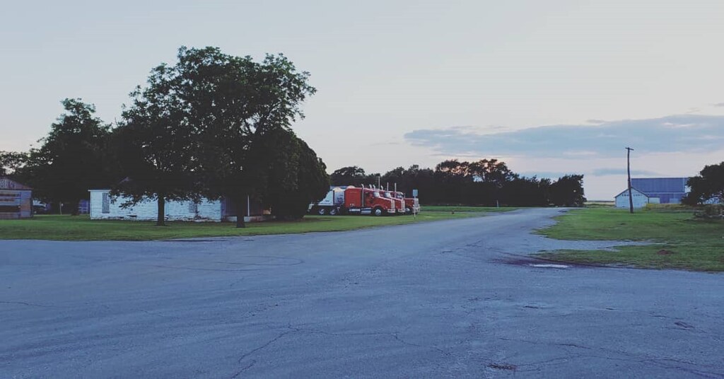 Schemper Harvesting 2019