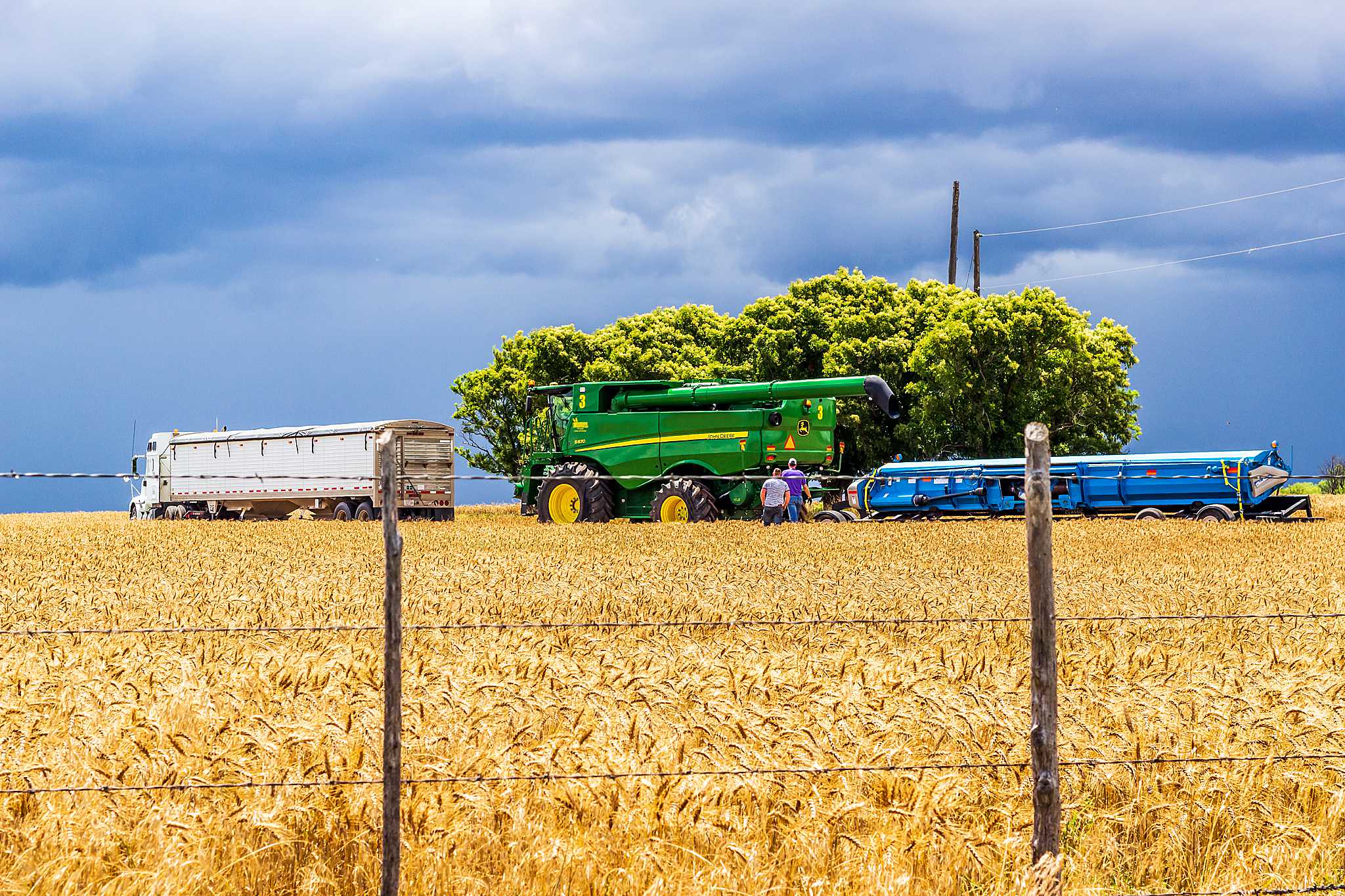 High Plains Harvesting 2019
