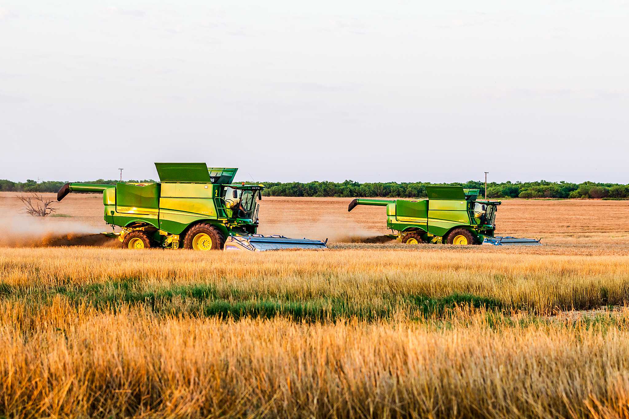 High Plains Harvesting 2019
