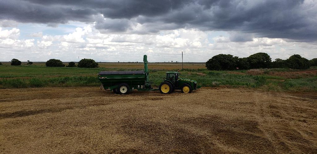 Schemper Harvesting 2019