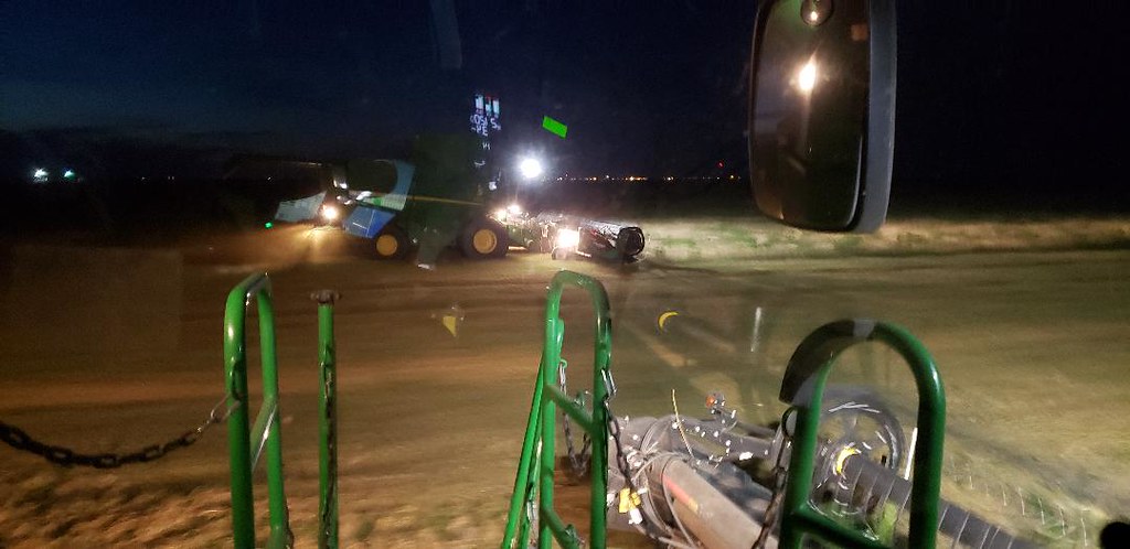 Schemper Harvesting 2019