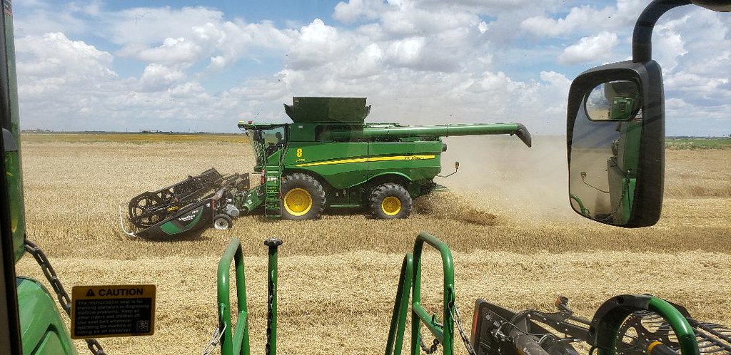 Schemper Harvesting 2019