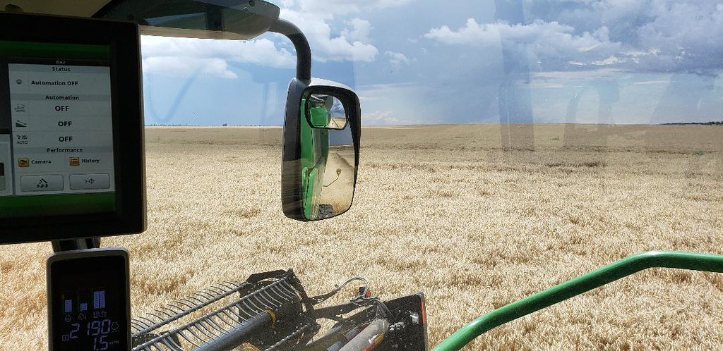 Schemper Harvesting 2019