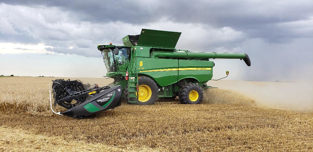 Schemper Harvesting 2019