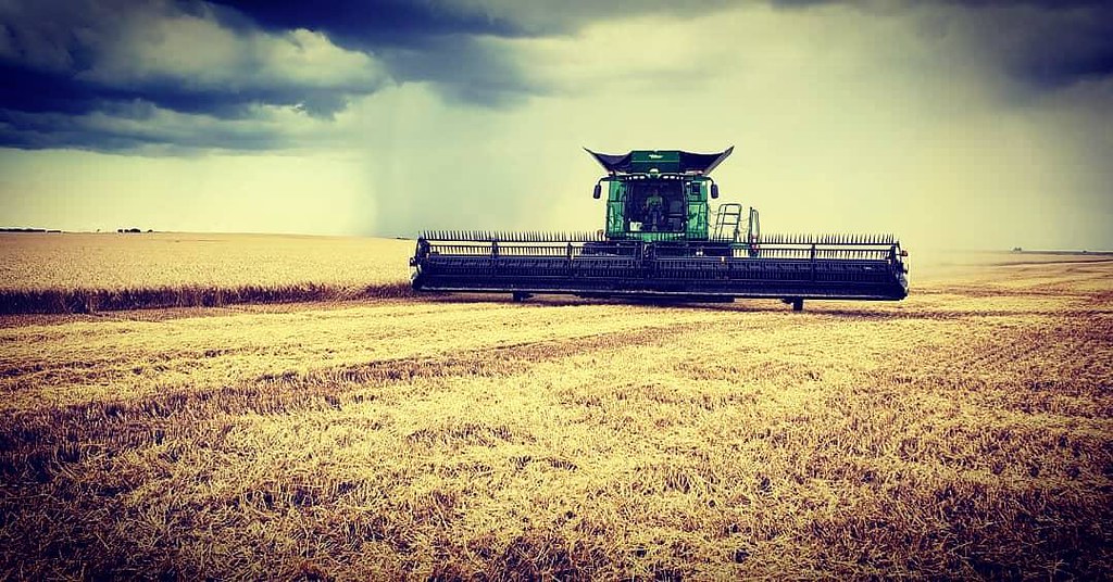 Schemper Harvesting 2019