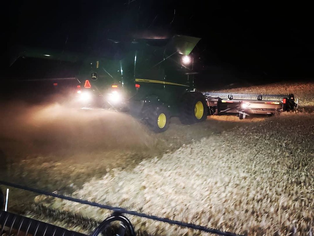 Schemper Harvesting 2019