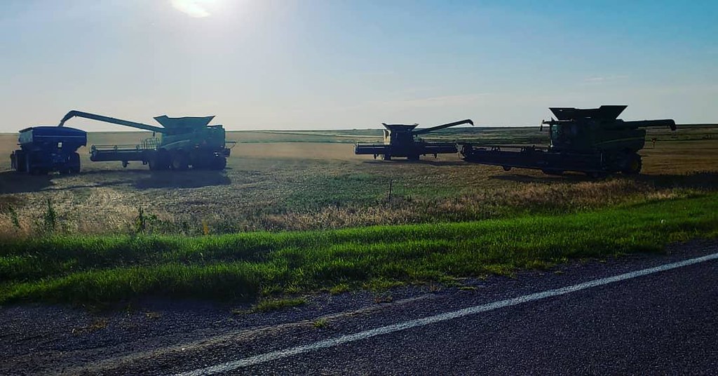Schemper Harvesting 2019