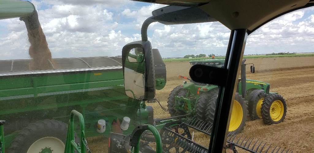 Schemper Harvesting 2019