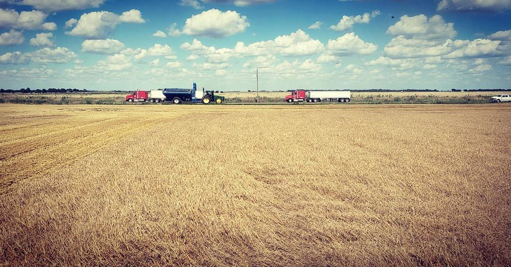 Schemper Harvesting 2019