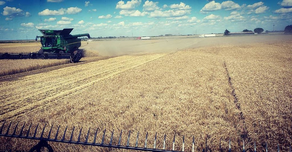 Schemper Harvesting 2019