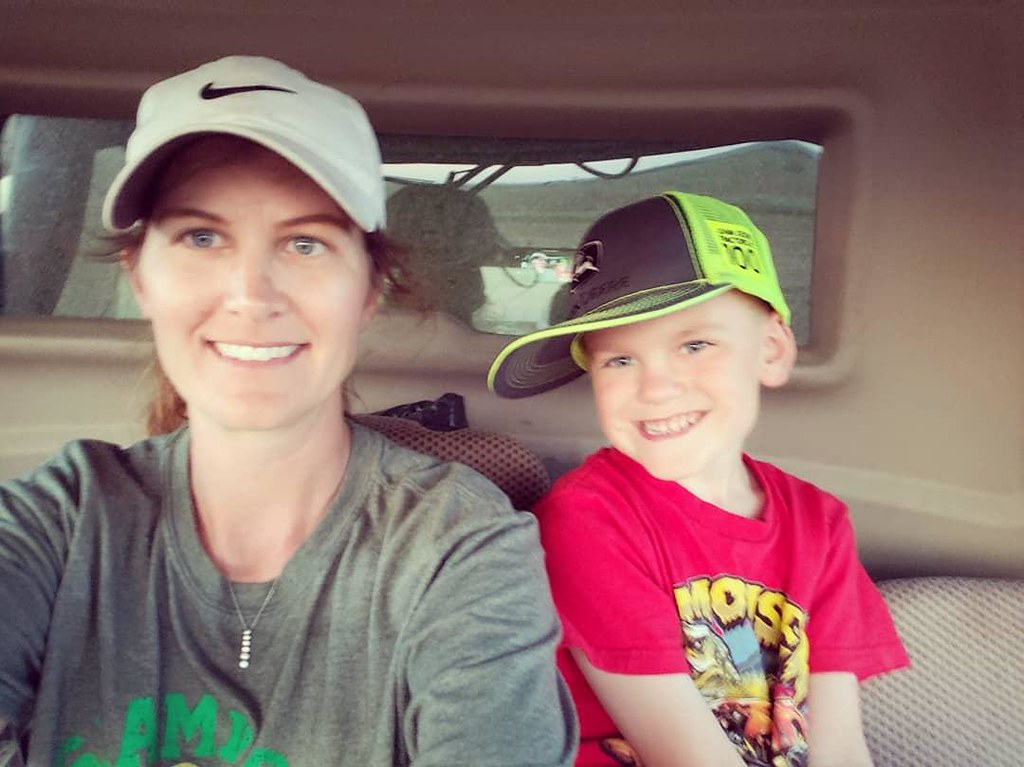 Schemper Harvesting 2019