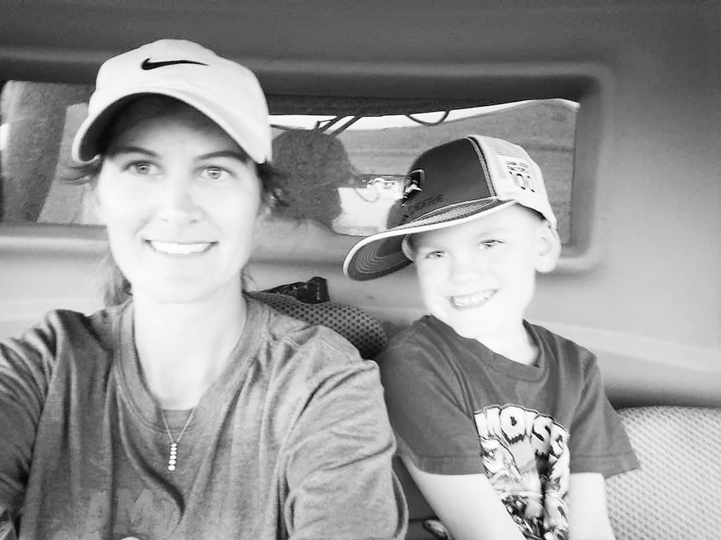 Schemper Harvesting 2019