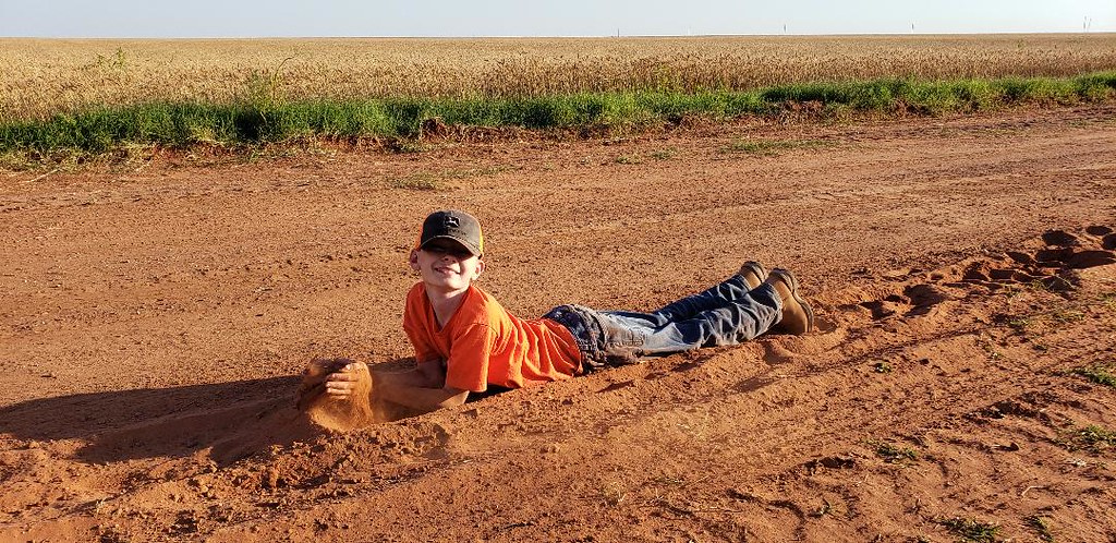 Schemper Harvesting 2019