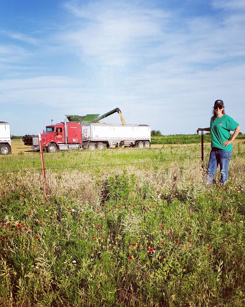 Schemper Harvesting 2019