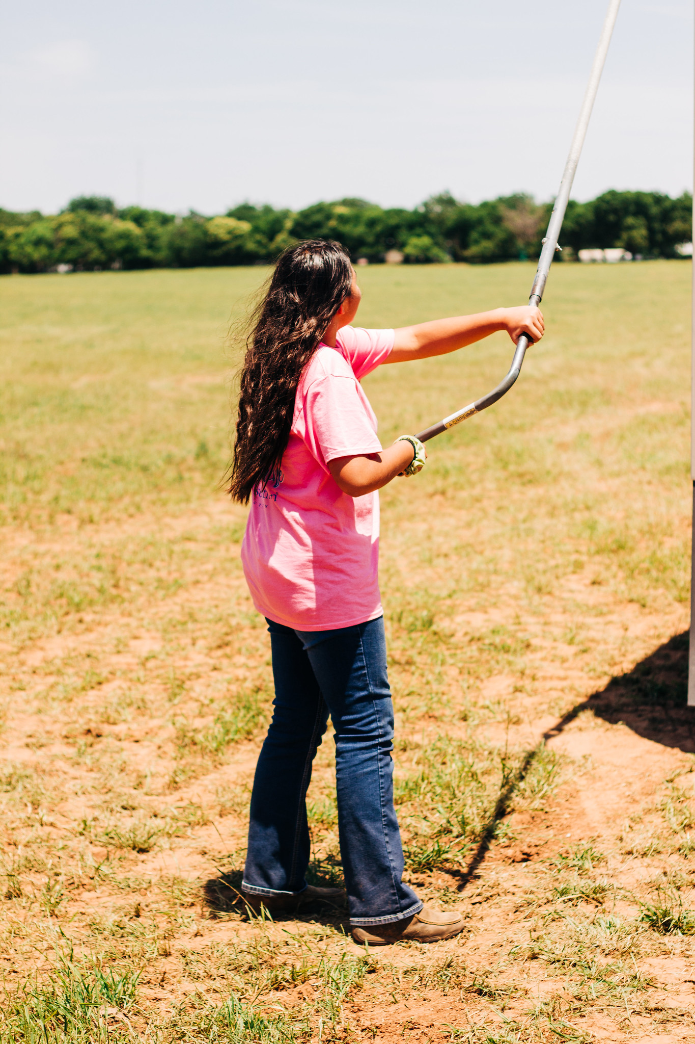 High Plains Harvesting 2019