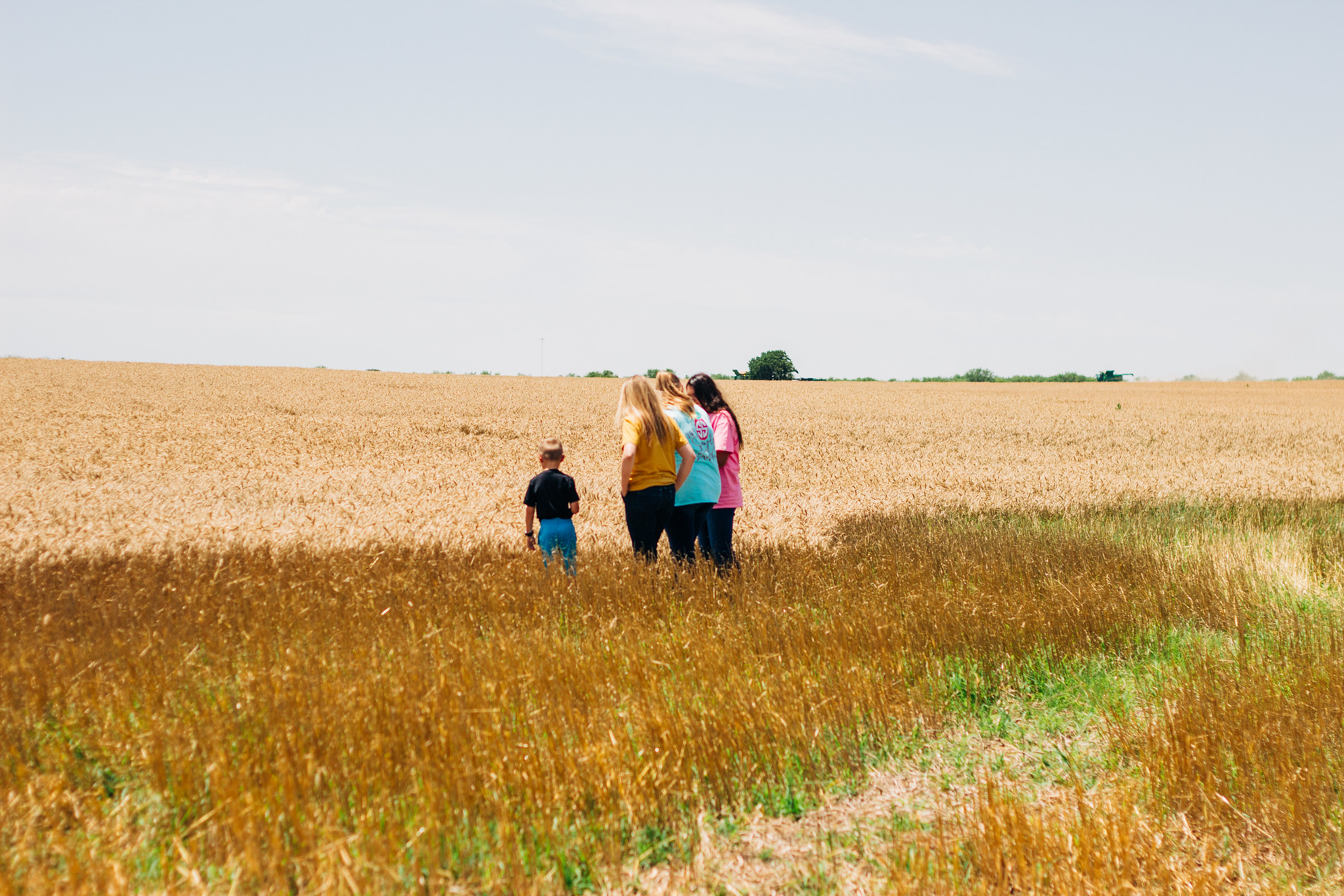 High Plains Harvesting 2019