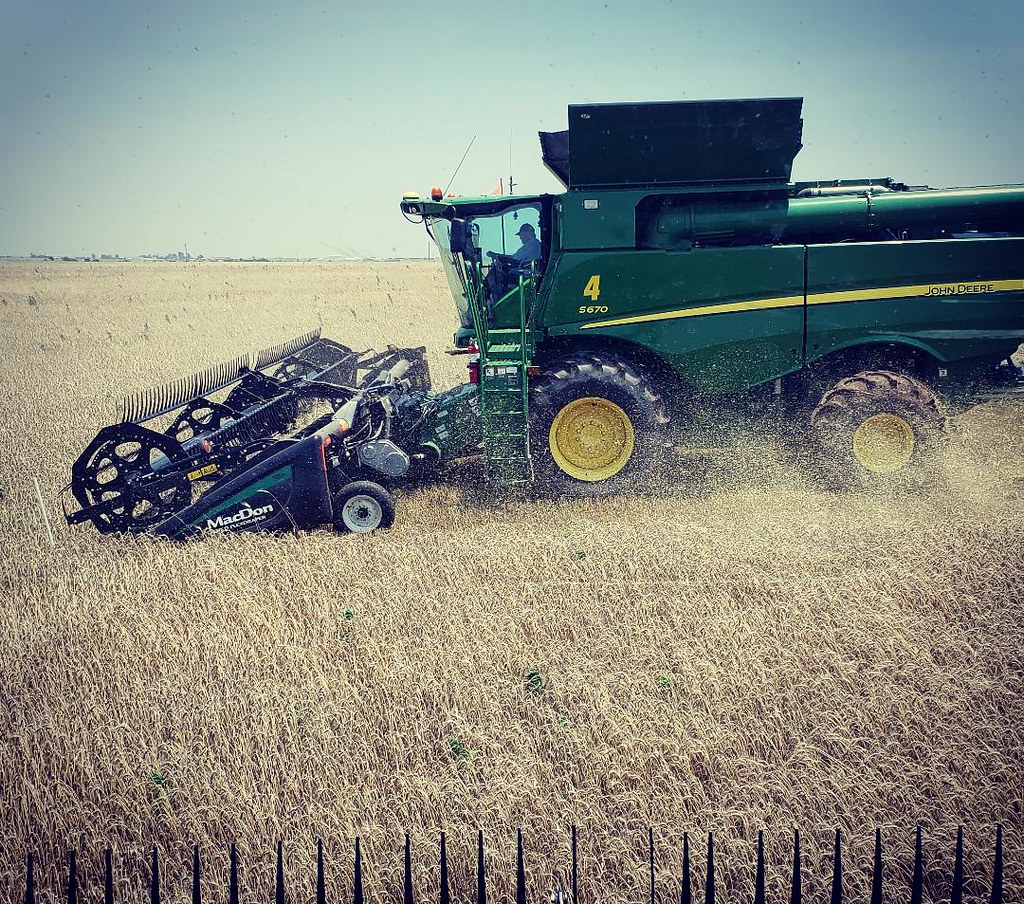 Schemper Harvesting