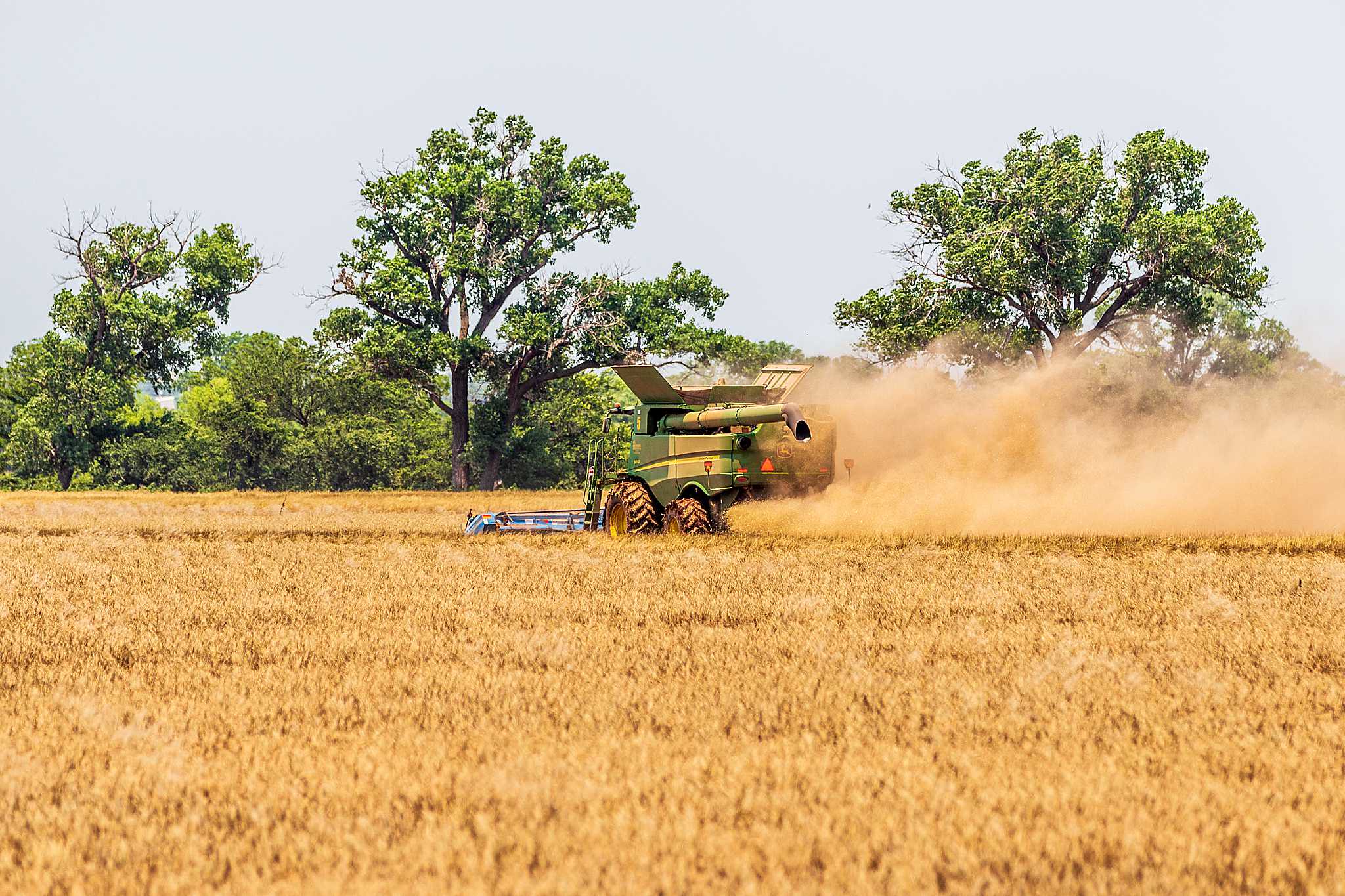 High Plains Harvesting 2019