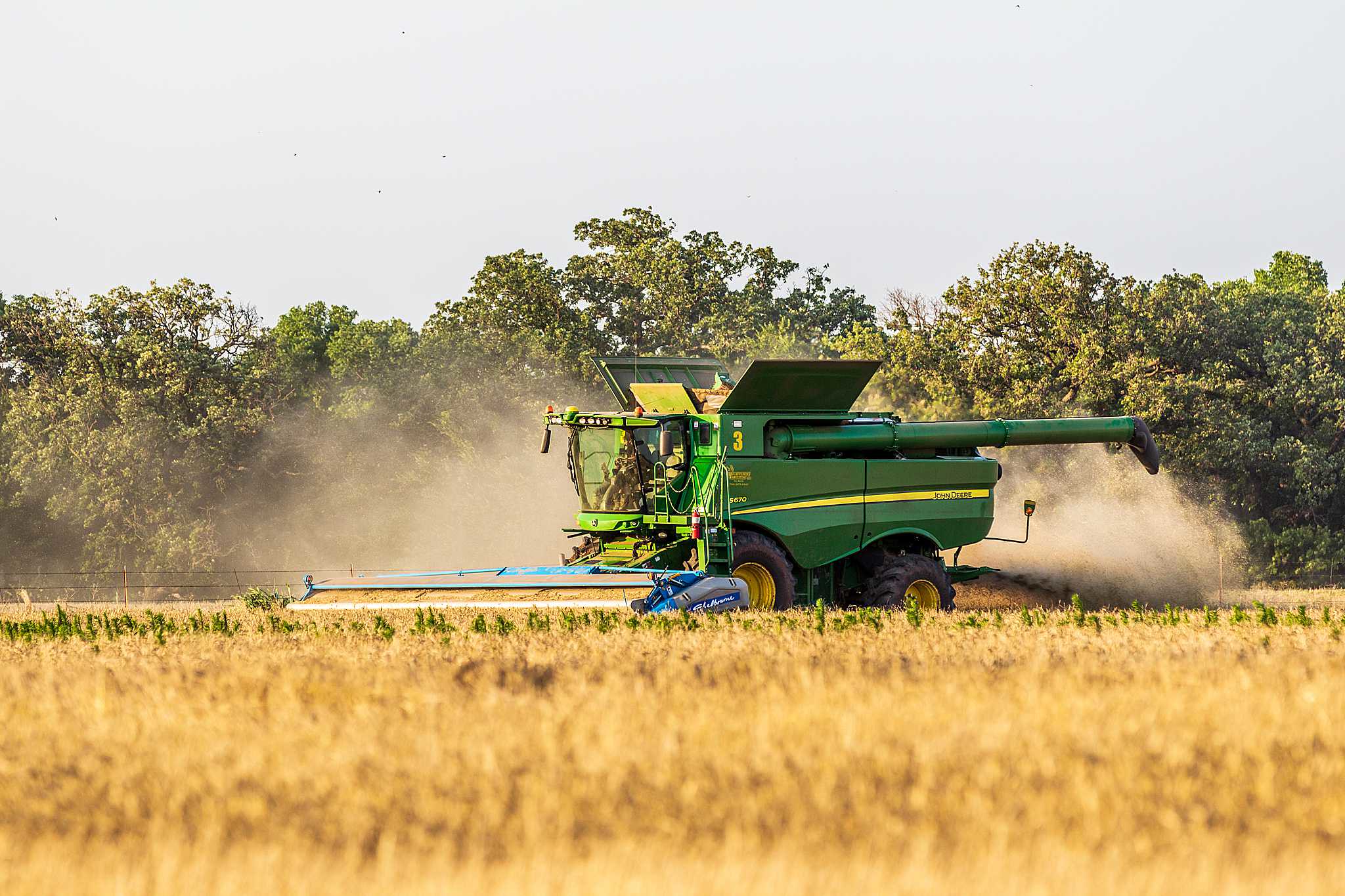 High Plains Harvesting 2019