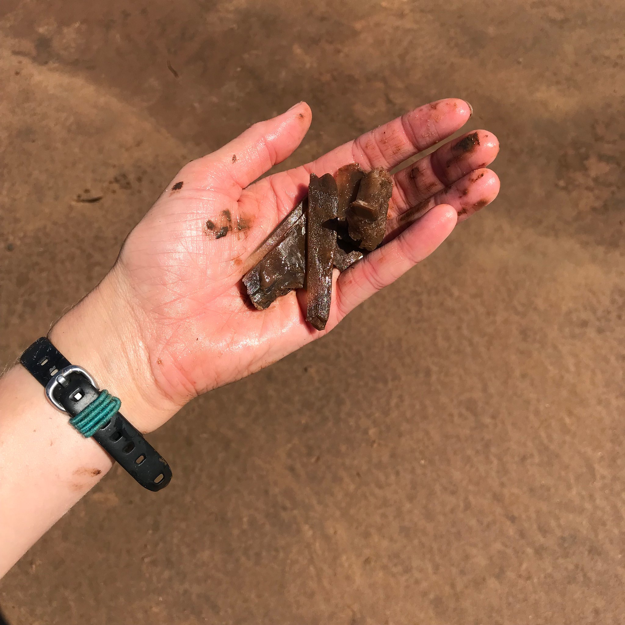 High Plains Harvesting