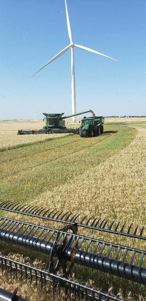 Schemper Harvesting