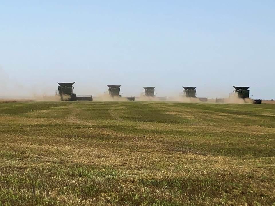 Schemper Harvesting