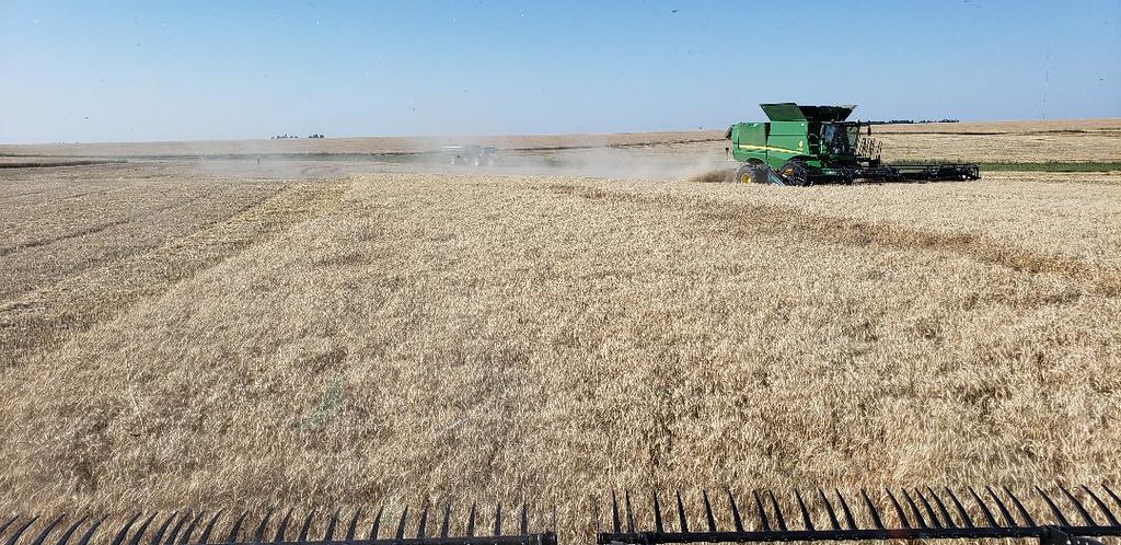 Schemper Harvesting