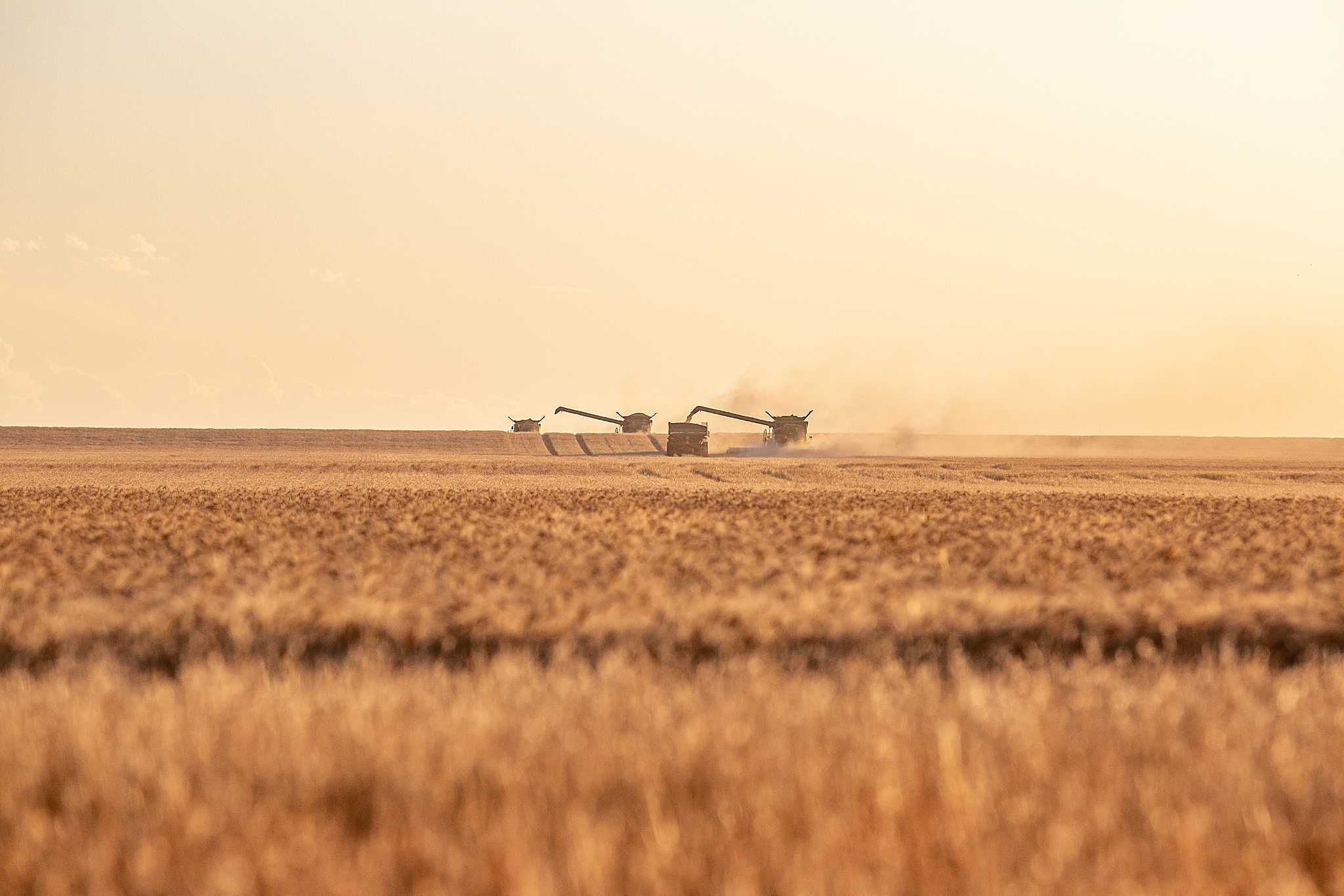 High Plains Harvesting 2019
