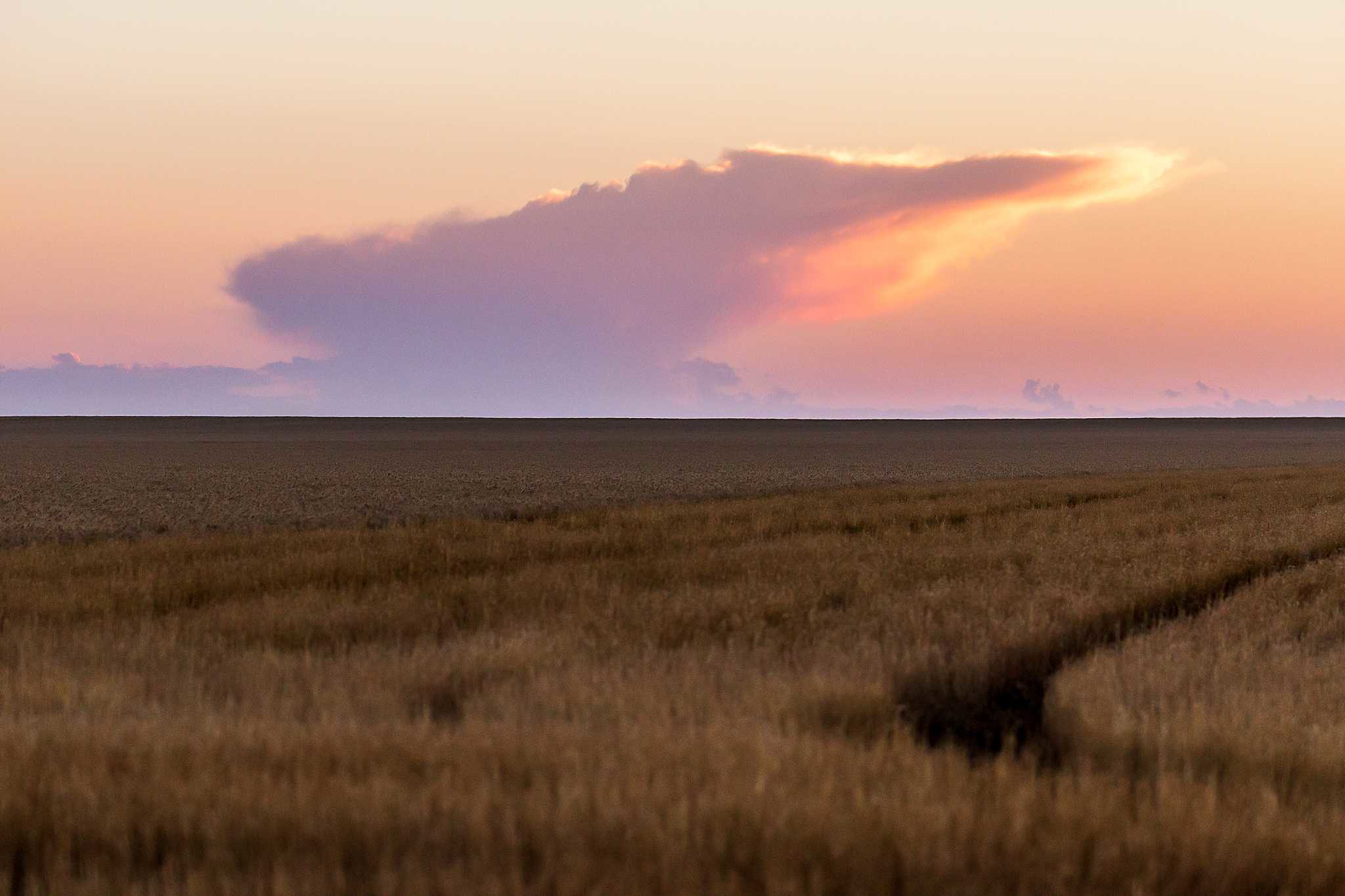 High Plains Harvesting 2019