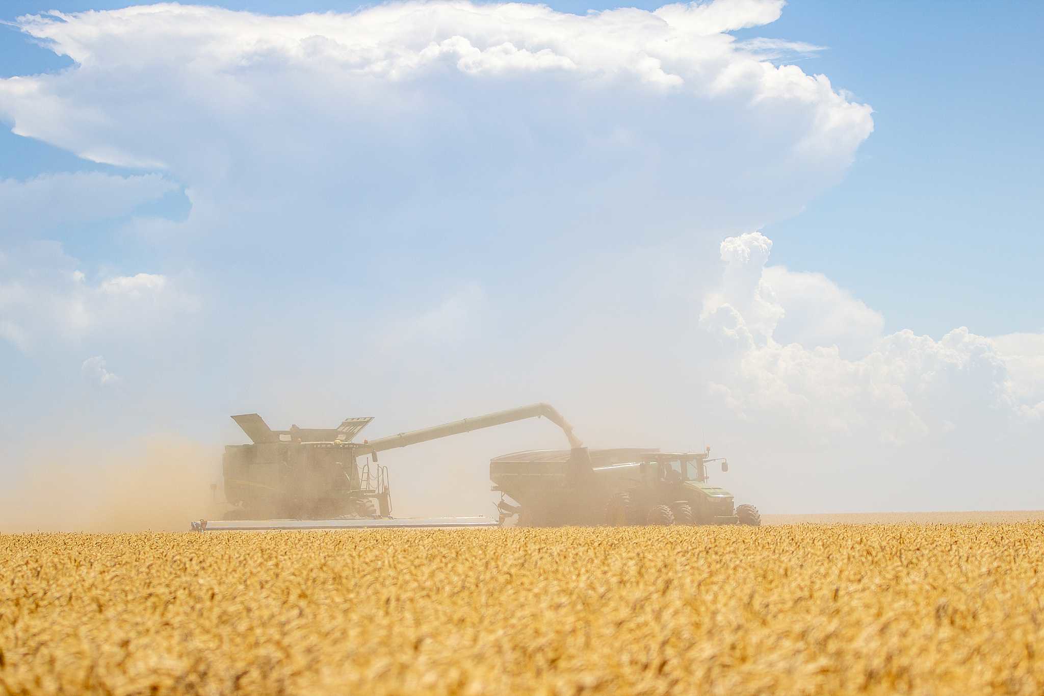 High Plains Harvesting 2019