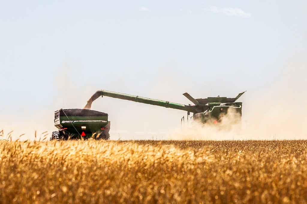 High Plains Harvesting 2019