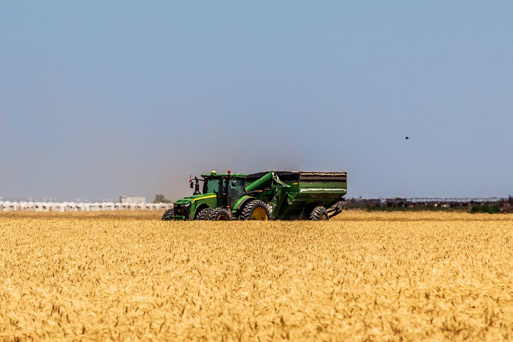 High Plains Harvesting 2019