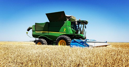 Schemper Harvesting