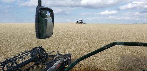 Schemper Harvesting