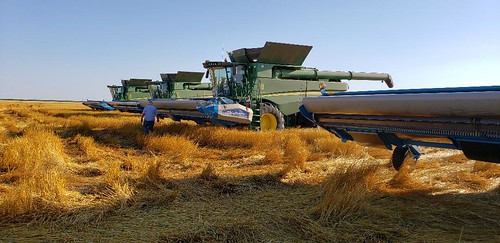 Schemper Harvesting