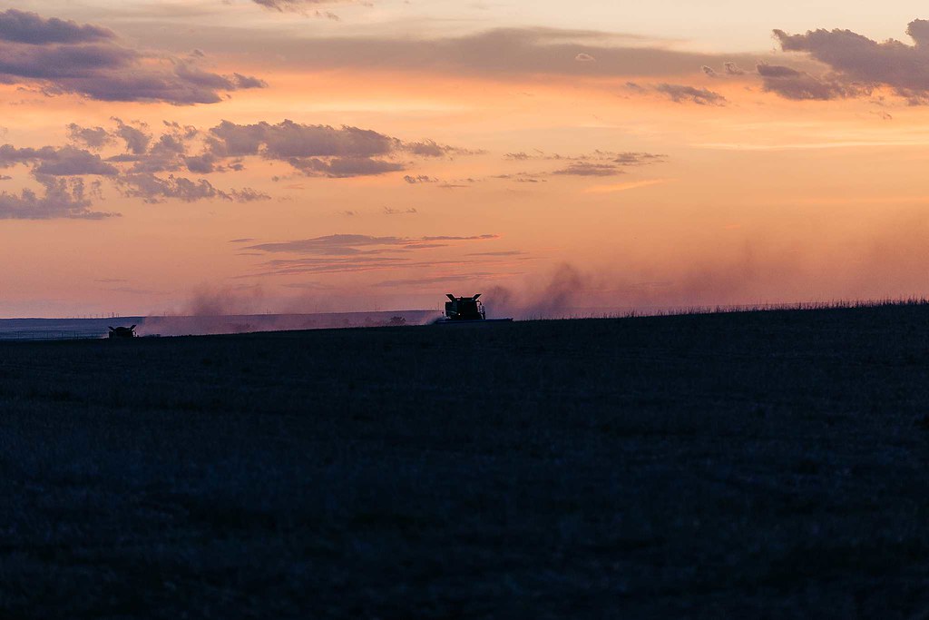 High Plains Harvesting 2019