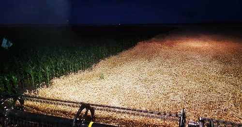 Schemper Harvesting