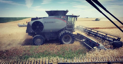Schemper Harvesting