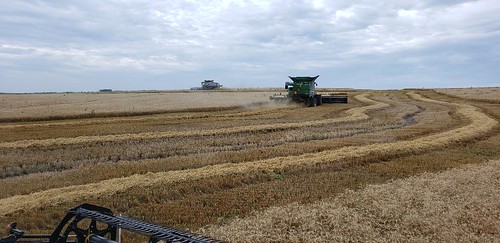 Schemper Harvesting
