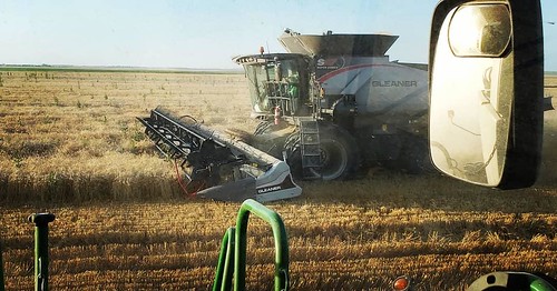 Schemper Harvesting
