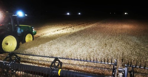 Schemper Harvesting
