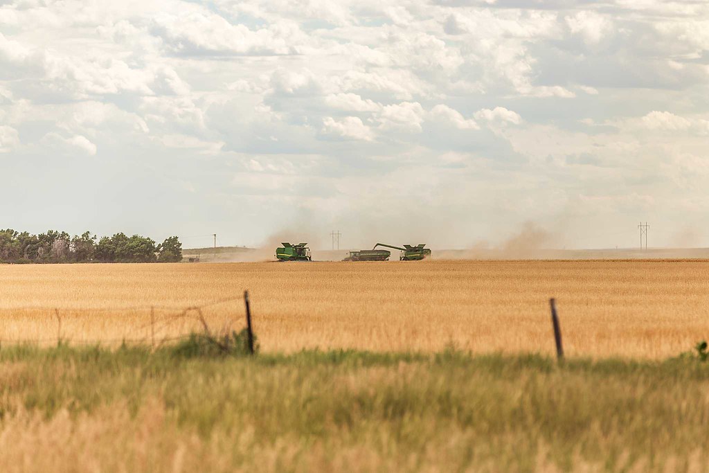 High Plains Harvesting 2019